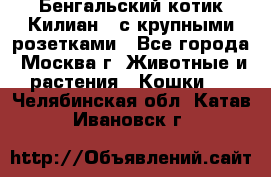 Бенгальский котик Килиан , с крупными розетками - Все города, Москва г. Животные и растения » Кошки   . Челябинская обл.,Катав-Ивановск г.